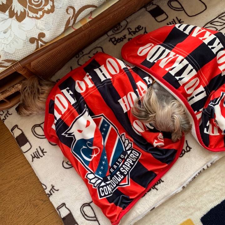 118a17be 9cf8 4e7e 822c 80cd6099cf9a 1639476411405