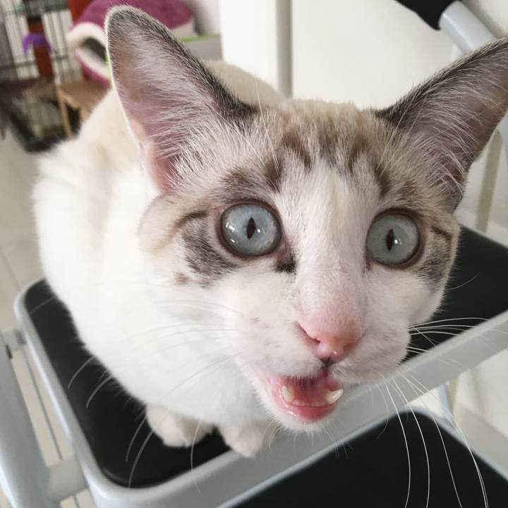 118a2b56 20a1 4c53 af87 90180631c559 1514596927553