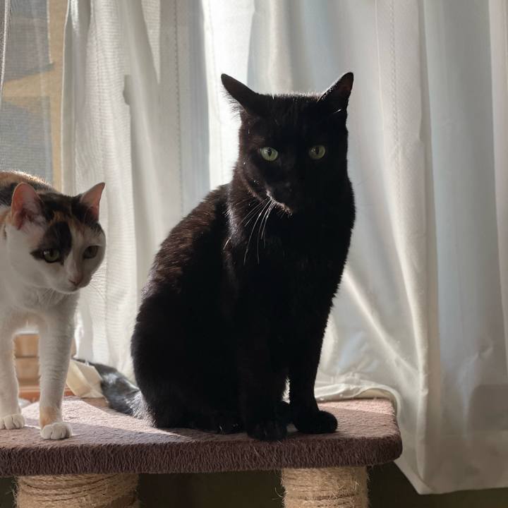 118a7c0e 2500 46ea 8999 90474b8ed43a 1648000424757