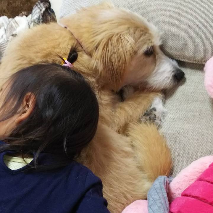 118a7c6e 3d18 454a 83b8 514690a603ba 1539419870955