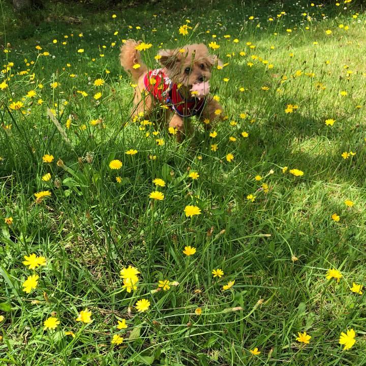 118a8d6f c920 48b2 bb20 dfeb5e0041ab 1624252550869