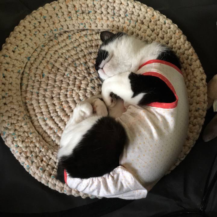 118abd7a 5186 4406 96ab a6cba1ca5df6 1596897633923