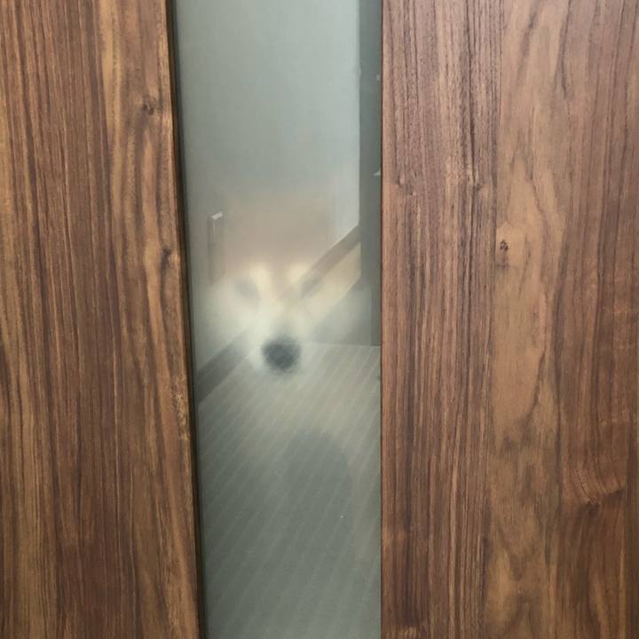 118acc26 10d9 4653 a71d c1f5a8ce99d1 1550884189427