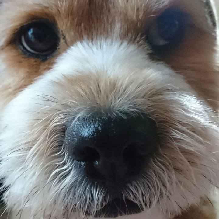 118b1fc2 e83b 46a0 a561 b713c9c8c0d2 1525239039818