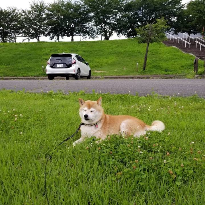 118b241f 79ef 4838 84c2 01eef5035643 1595233285725