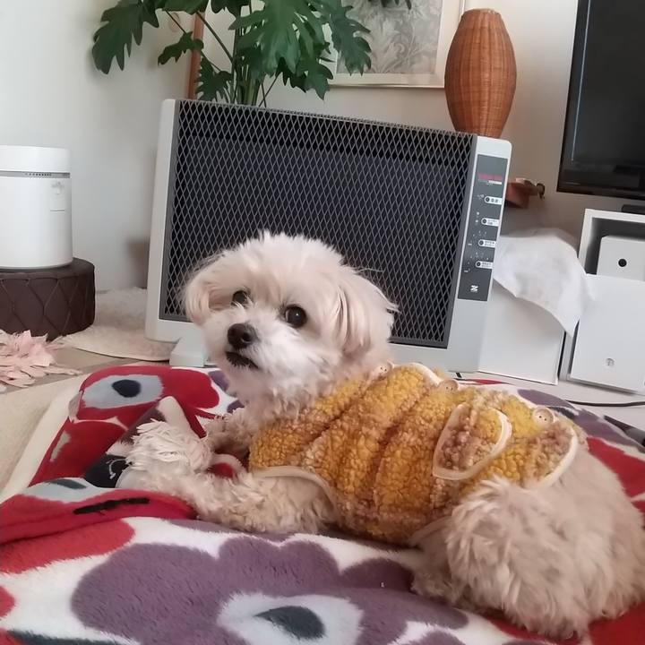 118b596b 3e0a 47e2 85b2 872a6f052134 1641079473202