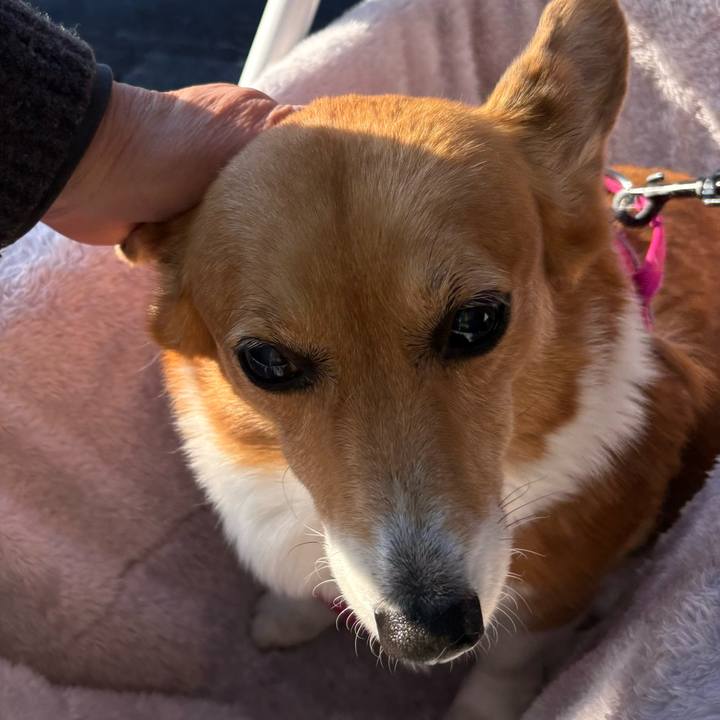 118b5b88 40a8 46ab b52a 9955f8e0a194 1734320206978