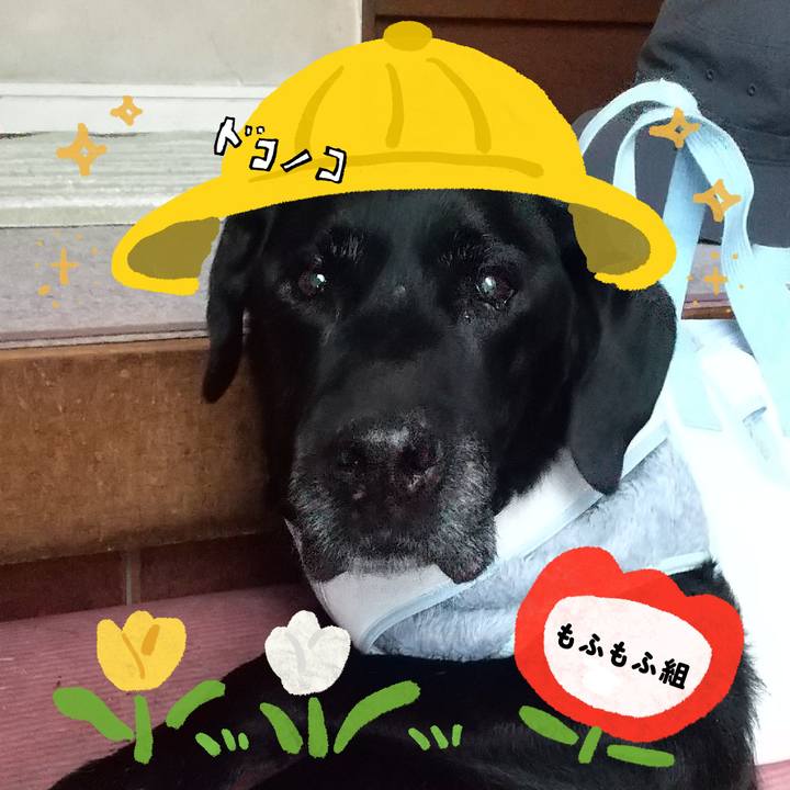 118b908d a05b 43ae 9706 a18693517994 1712299980049