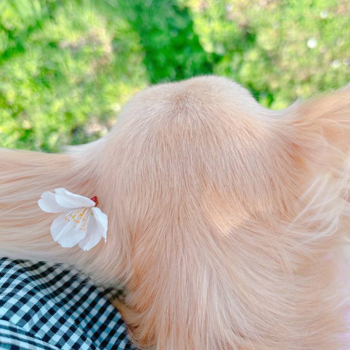 118ba7c7 c6d1 43a0 9536 3850e122d827 1649162740093