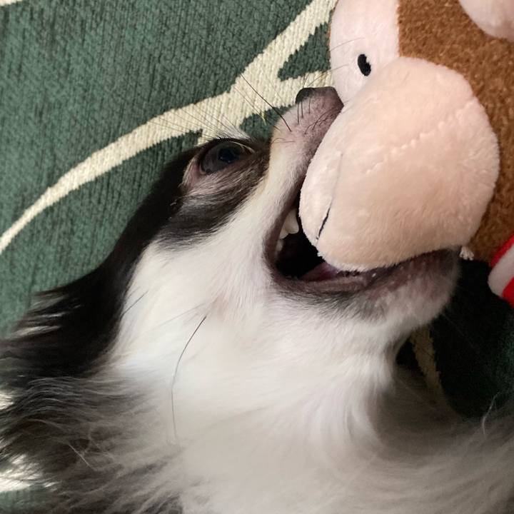 118bd083 aebb 4622 8596 0429f437252a 1637502672034