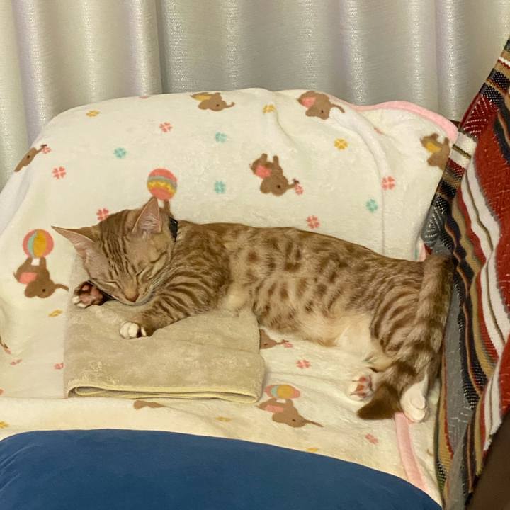 118bfbd3 14b9 4e55 b4f2 e84d480febeb 1606913317272