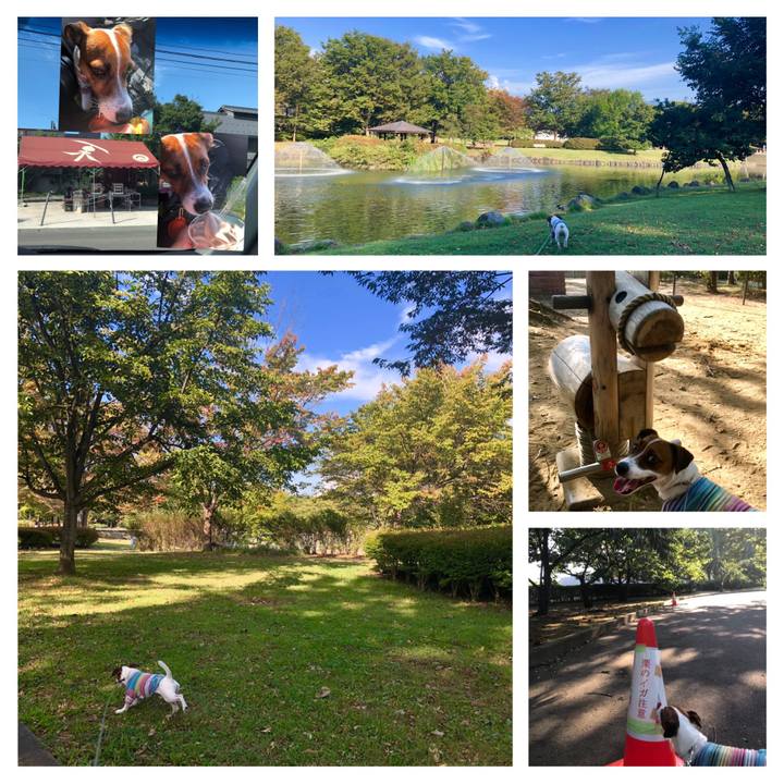 118c234f 5562 459b 863b 656da9f19ecb 1569582987908