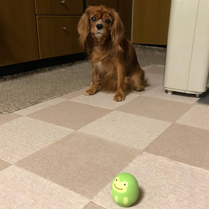 118c49d0 4246 47c5 a5c8 46734032d21c 1580992846981