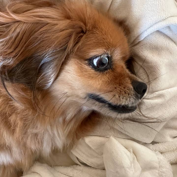 118c4b74 df97 479c 8d40 fc6fca5526ee 1722123633942