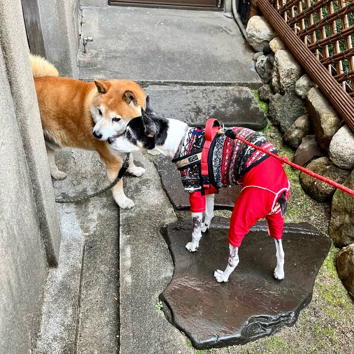 118c5565 d628 4426 be6e 7cfdb3b699f0 1647047539305