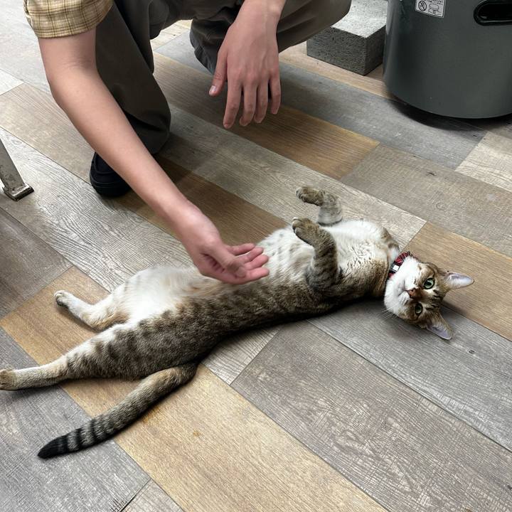 118c7504 cd5a 4e7e 9e43 e9636795f7b4 1757976809930