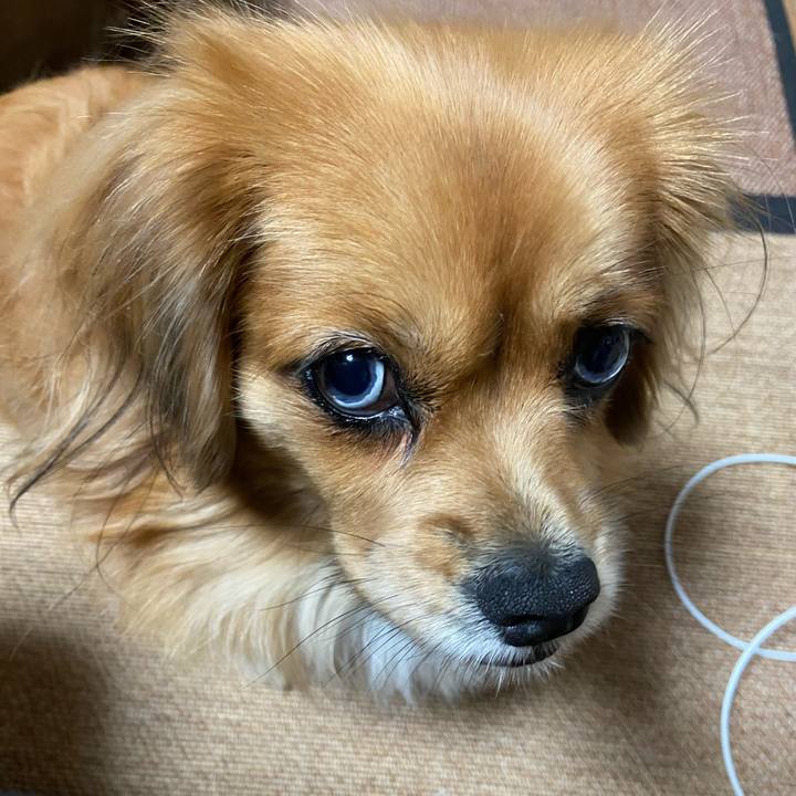 118c8393 5e1d 4830 bf16 3e9a649f2a59 1605000425591