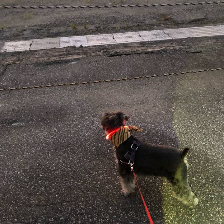 118cbb80 308a 48c7 8ec8 7a4c2d7e6e1f 1626705595717