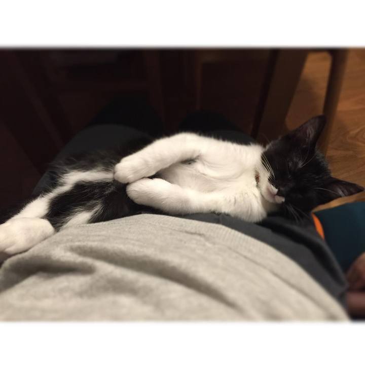 118cbfe1 cf11 488d ad93 a117adb67025 1548418335851