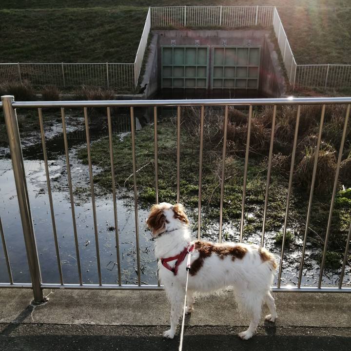 118d15d7 cc1e 4c18 86a8 316f516923ce 1584058306496