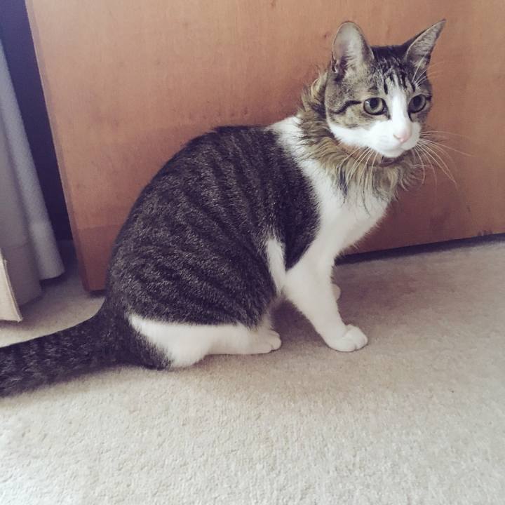 118d2374 a115 4985 b9b9 47822dbbf22b 1508808887676