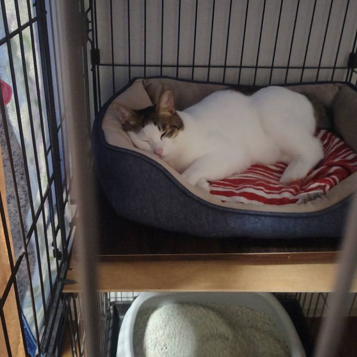 118d58d8 ec6b 40cf b437 f14db55e116a 1761292386158