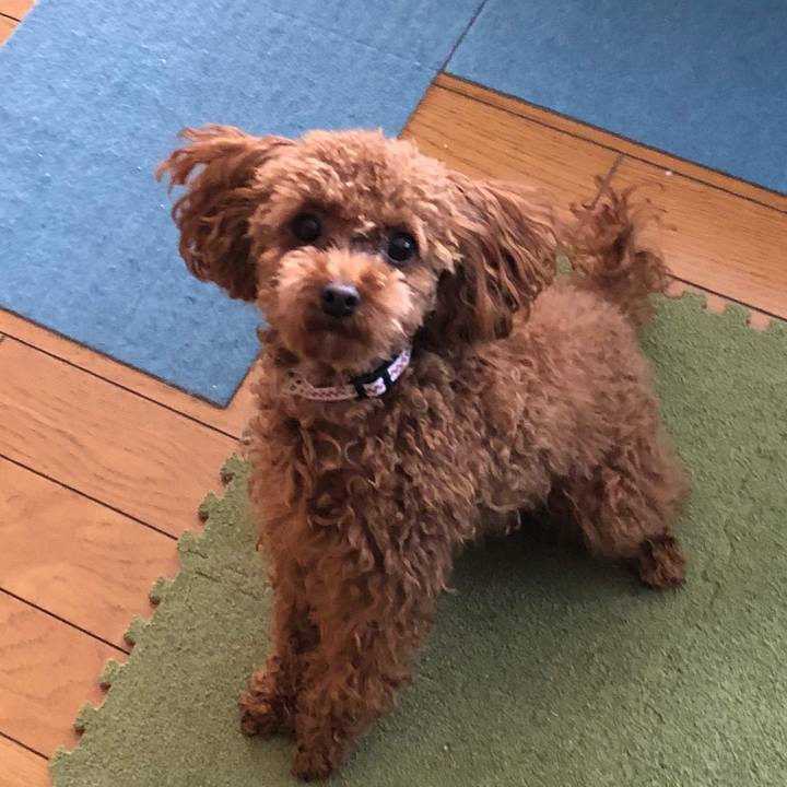 118d78fd abda 41e2 a91d 701b1c33e7ce 1515895722063