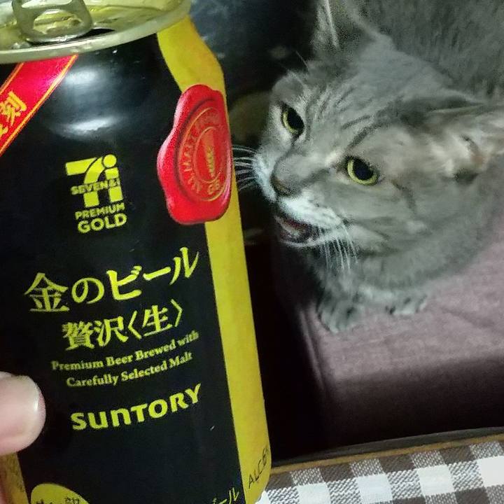 118dba48 f9b1 43c0 8ba8 a5579905e453 1666266672963