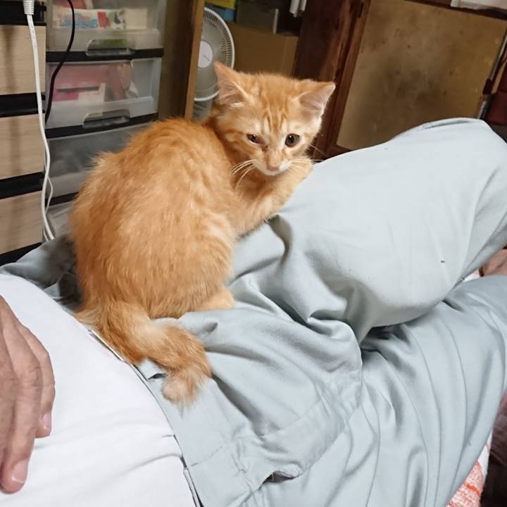 118e338a 9441 4495 adf9 75027ba8ca6c 1629545260611