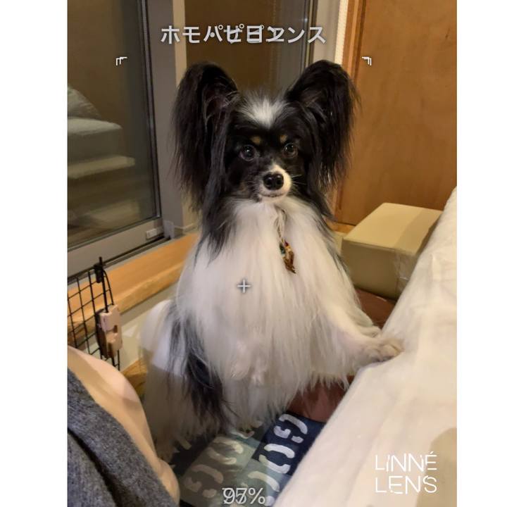 118e3f4f eef9 4b62 8b65 e46ca9341c8d 1599364731048