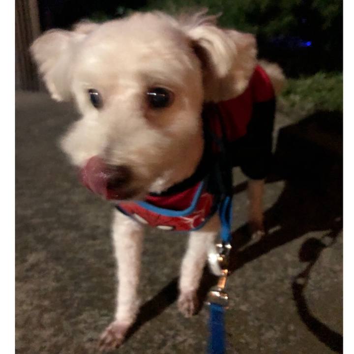 118e6dfc f4f5 4b01 8f86 beb0bbe95ae0 1534689660040