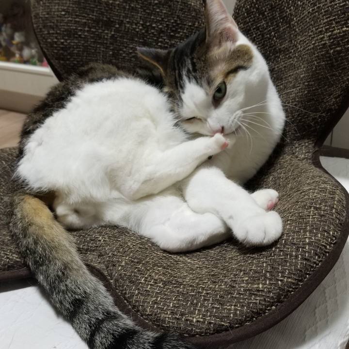 118e883f a0b7 4947 b501 cc06e2dd570c 1554332509937