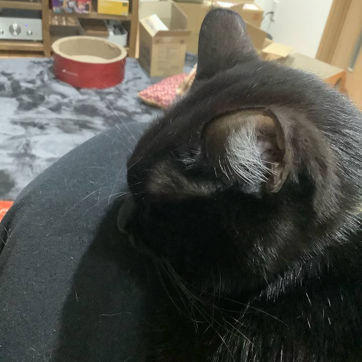 118eb60e 2ecf 40a0 9eb0 66c144fd884f 1578401197634