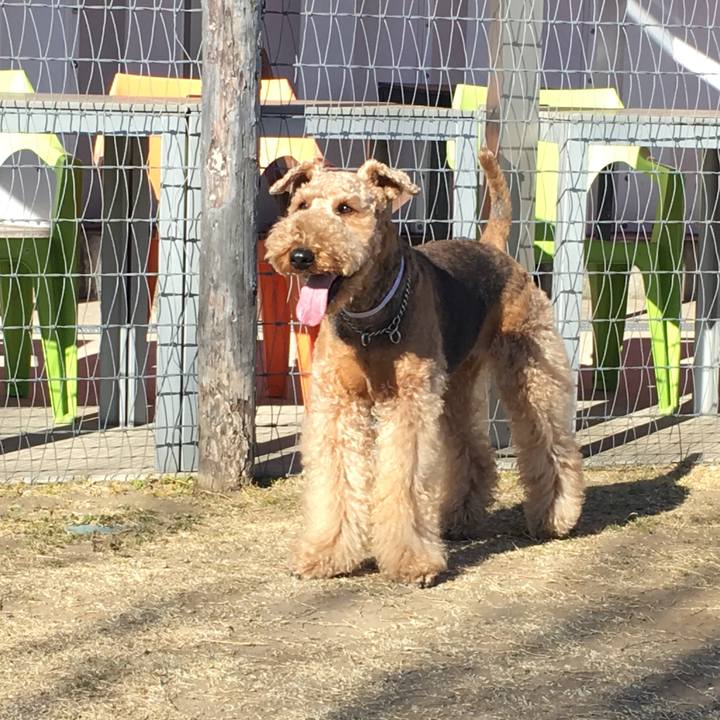 118ee047 d8ee 454c 939b 09fc3ce60299 1515071488201