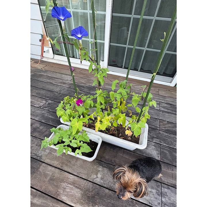 118f146a 6c54 42d2 b39b 359d04c89f25 1753571033095