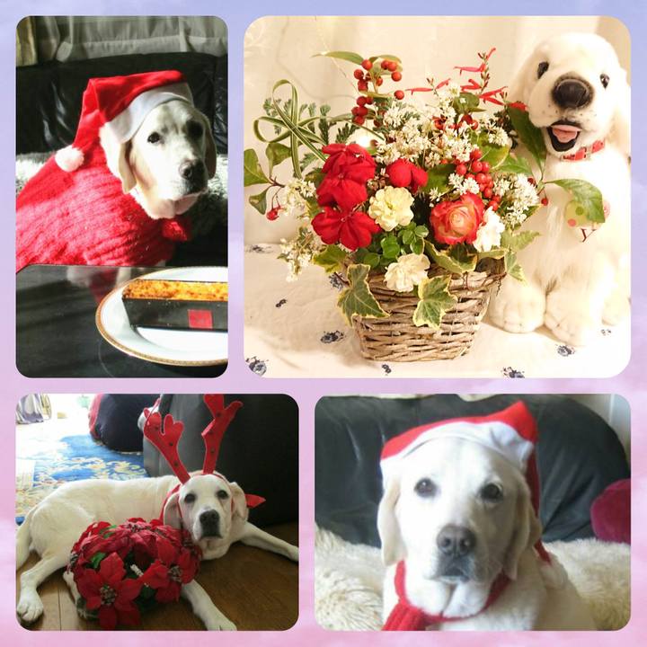 118f1ca6 09b8 4881 807e 8fee1f66af8d 1607260204795