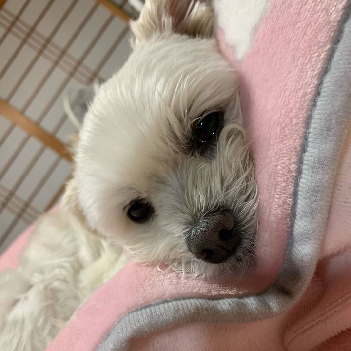 118f385e e8e3 43ee 9a63 504f3e861ef2 1607424541488