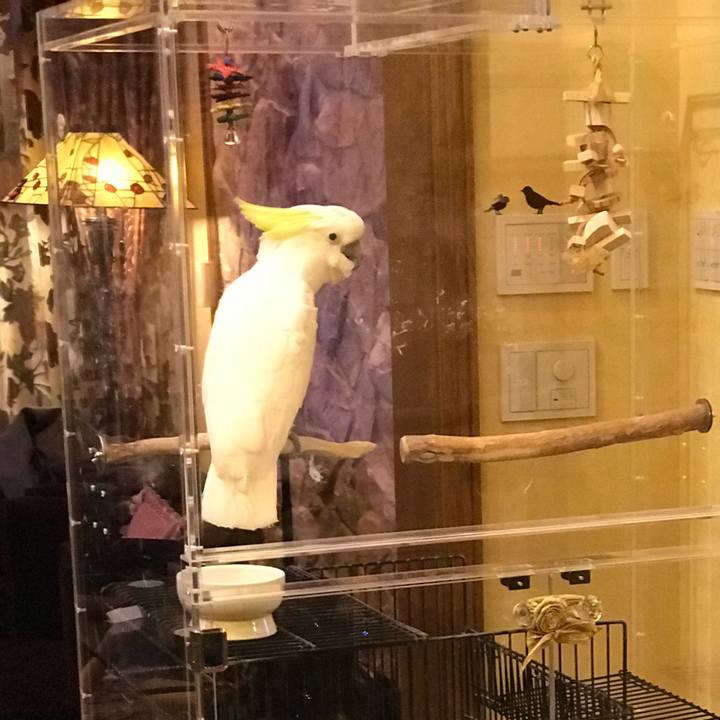 118f4bfe fcd8 4704 8a87 faeab6ab94cc 1544888256282