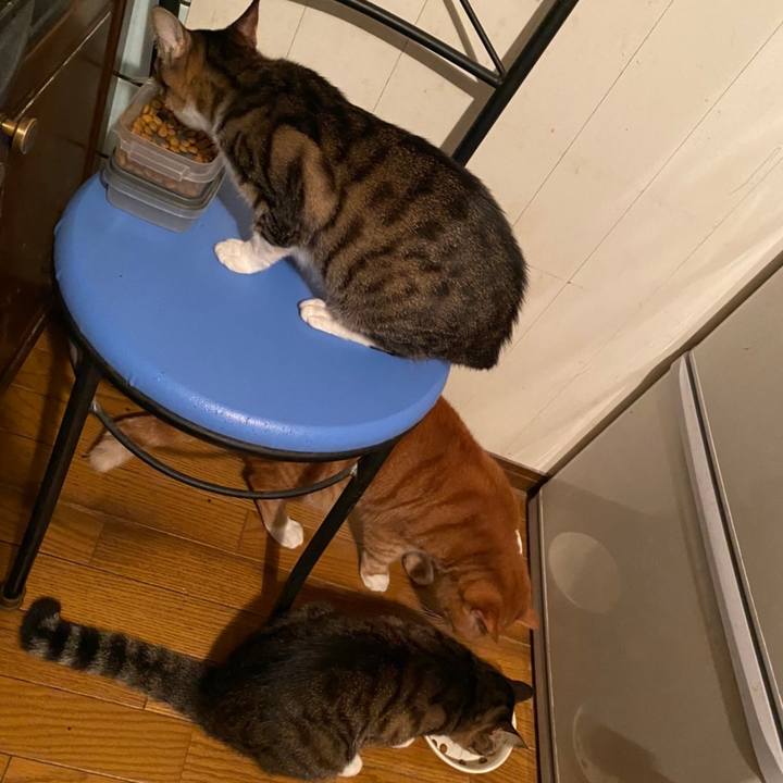 118f651b c228 46d2 b0f3 e02c2bffe26a 1605449458018