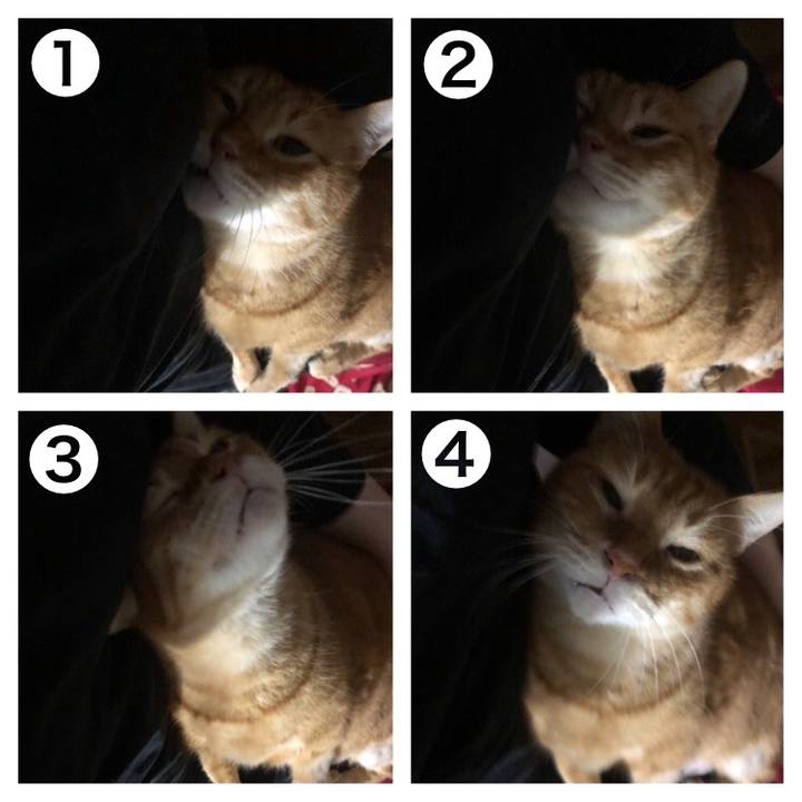 118f8773 0e24 4171 beb8 c094e7d5a1dc 1704370225757