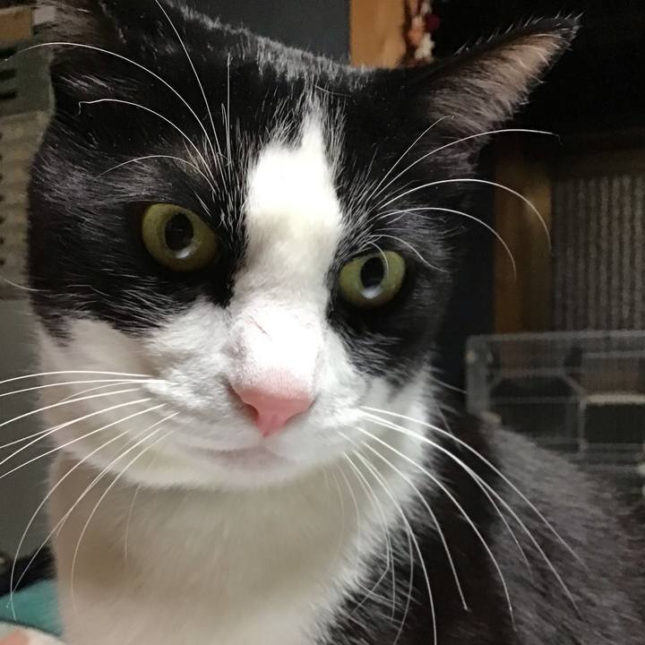 118fa894 c77b 469c 9333 818d6f118782 1709894003912