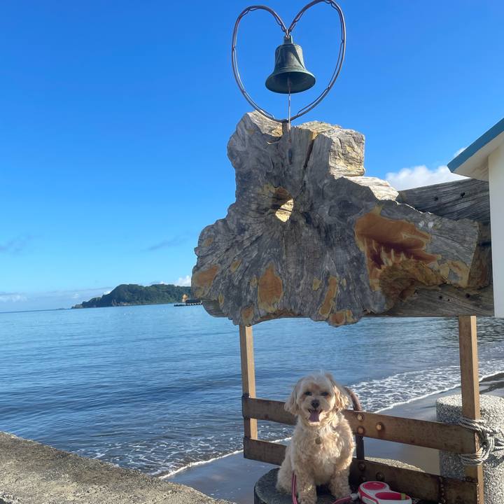 118fd492 6728 4504 af1b e46a8db859c0 1753400681787