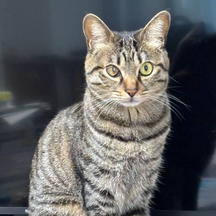 118fda61 4bc2 4c95 af64 c8a16df52ea3 1771465760693