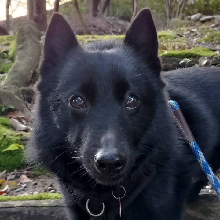 118fee3e 0207 408e 9085 5786a8de2f3f 1710453550613