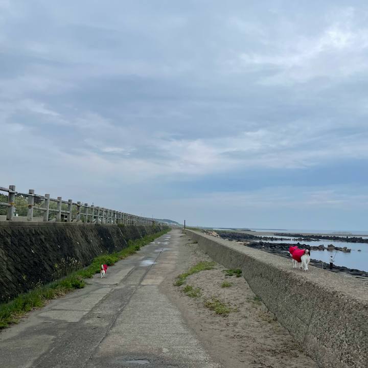 11902061 c9bb 4294 b595 7feb2c6d6a55 1653178356368