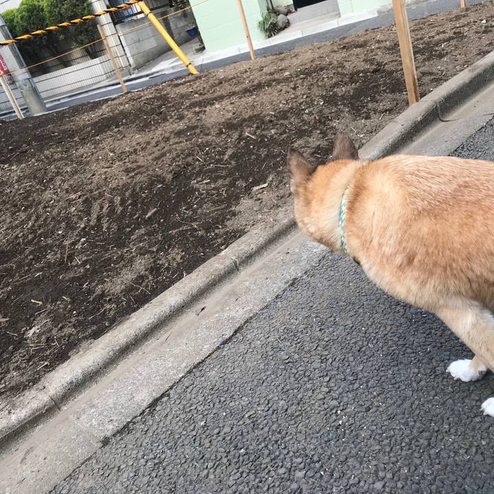 11903c5b a56e 4728 bde1 61f743644ca6 1554592592751