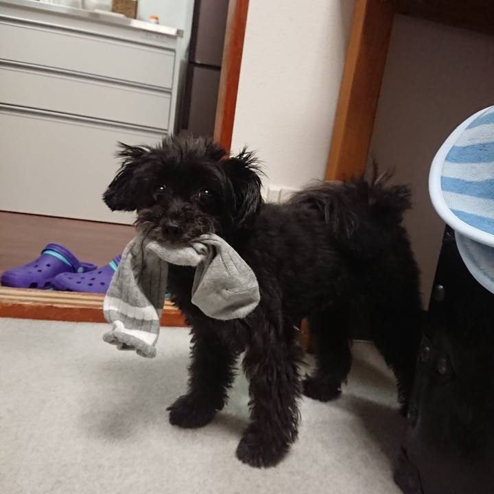 11905958 7298 498a bad2 bd09e6ad62c6 1536980491993