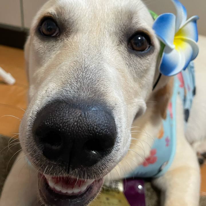 11906556 a170 4be2 b15f f0cb7e963347 1625837046797