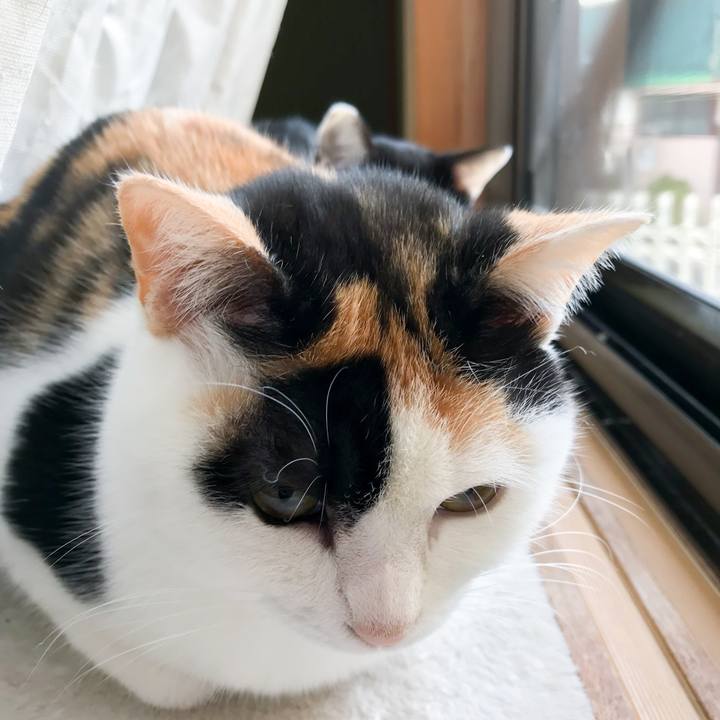 11907095 327b 4a78 9c71 9ecf9d852ea2 1520682543678