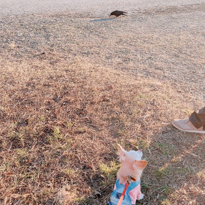 1190a30e 1714 460a a671 2aef49647da0 1673431762073